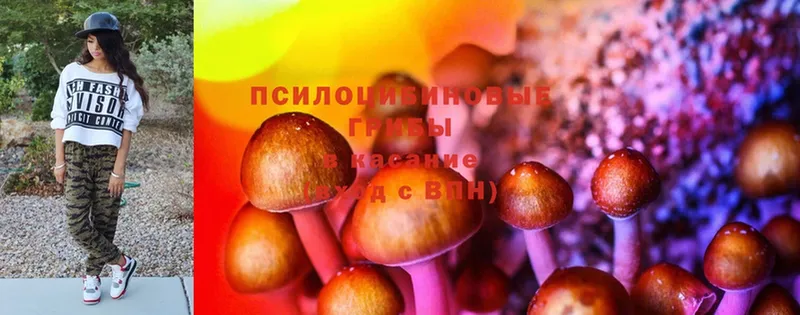 площадка телеграм  Печоры  Псилоцибиновые грибы Magic Shrooms 